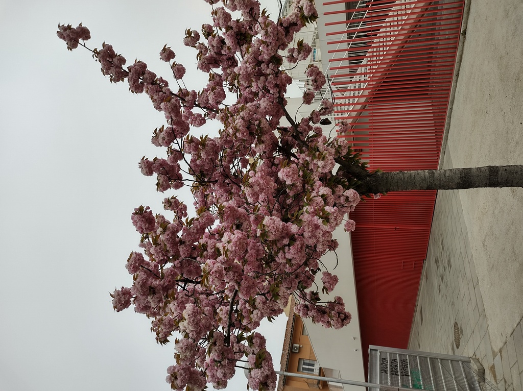 No s'ha trobat l'arxiu